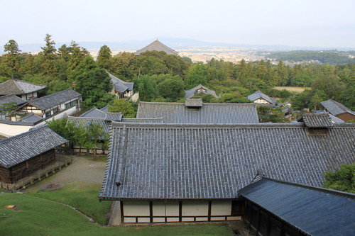 鹿の奈良