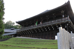 鹿の奈良