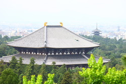 鹿の奈良