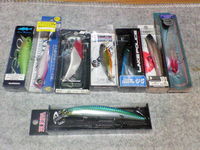 福袋！？いやゴミ袋 2009/01/02 21:14:25