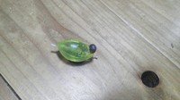 飛ばしウキ 2011/02/28 19:24:23