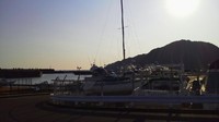 我慢しきれず 2011/02/13 18:54:00