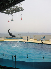 賢いですね。 2013/04/16 11:25:54