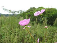 釣行記　9月25日那珂川