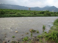 魚野川解禁釣行