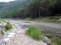 神流川釣行