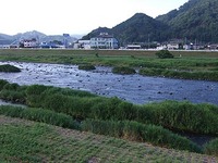 狩野川 6月30日 その１