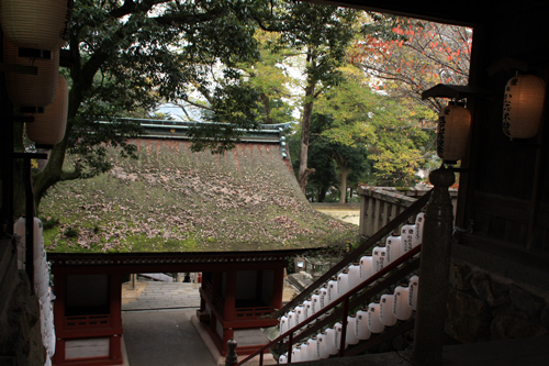 福谷・星の村キャンプ場