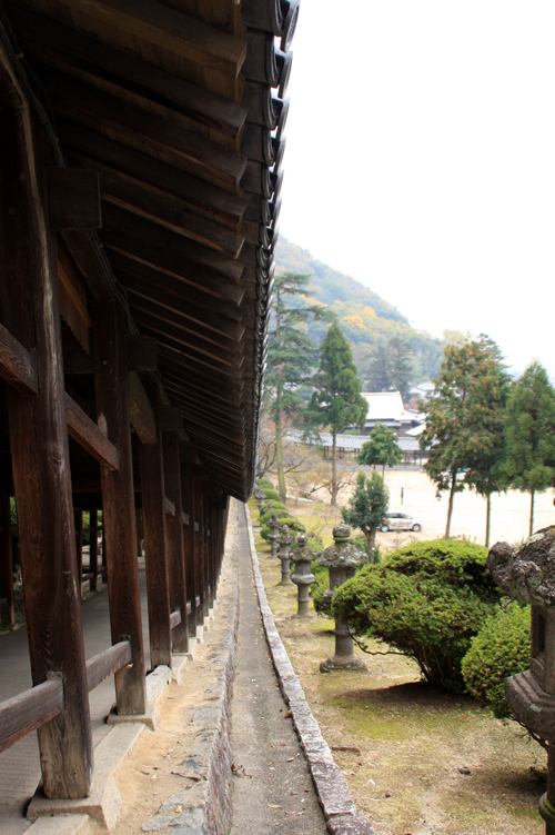 福谷・星の村キャンプ場