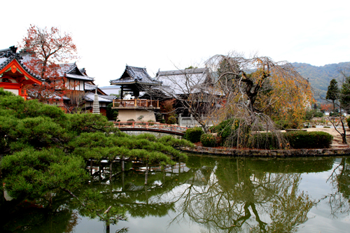 福谷・星の村キャンプ場