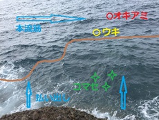 五目釣りだけれど、凪予報だから、気持ちはエギングメイン 2016/09/20 17:29:14