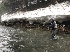 初春の水量勘