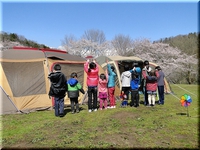 2014、桜キャンプ