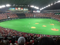 夏休みの思い出 〜 ファイターズ編 2014/08/04 01:12:14