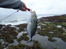 ライザーでカスミ。 2019/03/09 10:32:05