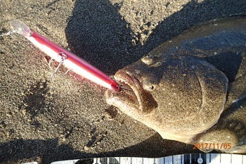 今年２度目のサーフ釣行～