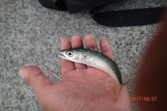 久々の釣り！