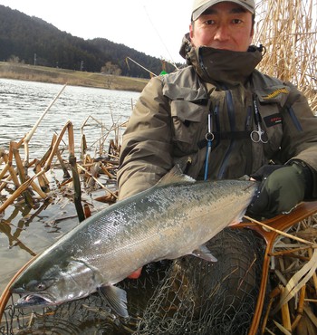 2015年 桜鱒 川