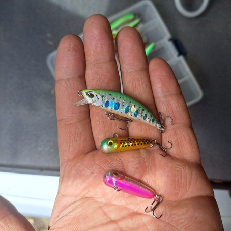 ネイティブトラウト 渓流ルアー18個 DUO SMITH ケース3個 ネイティブ