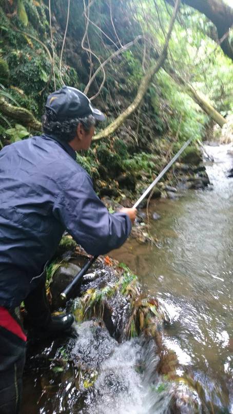 渓流Rd.3  師匠、今日も鮎釣り&驚く秋爆の渓魚