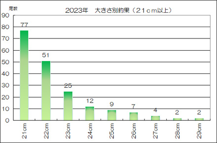 釣った渓流魚の大きさ別の数821cm以上）