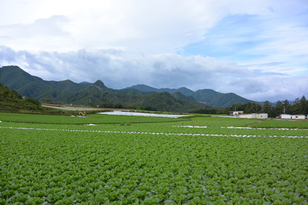 川上村の高原野菜は繁盛し景色が良い