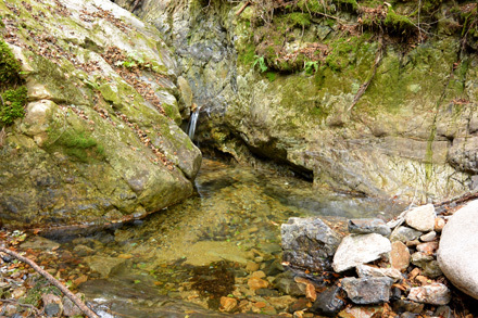 枝沢上の水溜りと大石