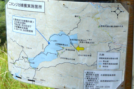 ニホンジカ捕獲実施区域地図