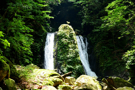 雄滝に大きな岩魚がいるかも