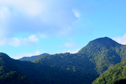 林道から見る鶏冠山方面