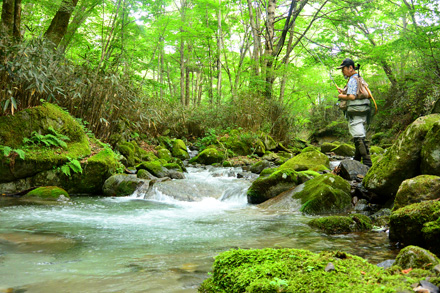 中島川出合の淵