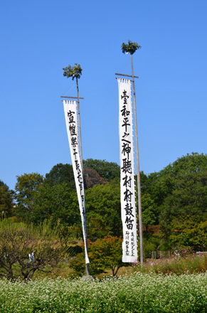 こもれびの里、秋ですねぇ