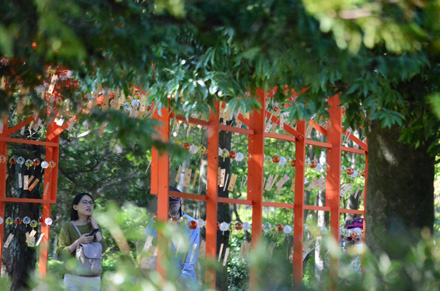 風鈴のトンネルがまだあった昭和記念公園