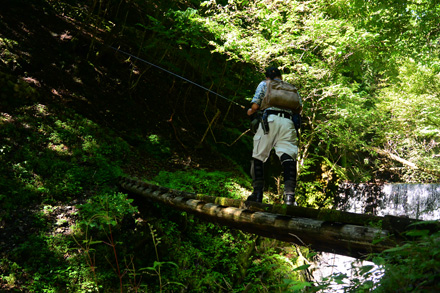 登山道を歩く