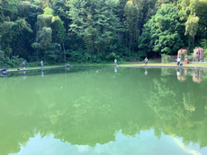 2024.6.15 フィッシュオン王禅寺 2024/06/17 07:53:30