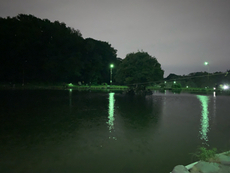 2024.5.25 フィッシュオン王禅寺 2024/05/27 07:43:43