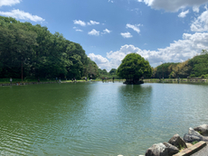 GW前半の王禅寺
