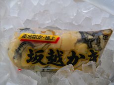牡蠣キャンプ　～ノースイーグル　ワンポールBIG420～