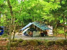 新緑のキャンプ