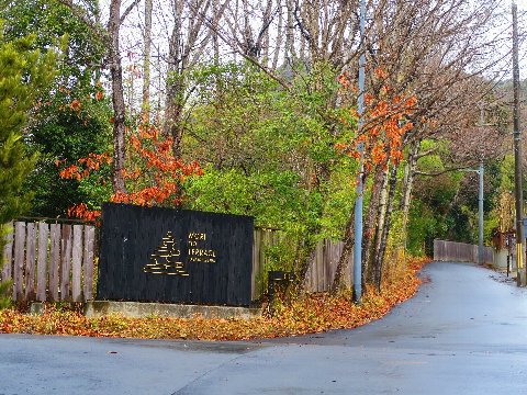 終日雨が降り続くキャンプ