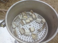 ドキドキの釣りキャンプ