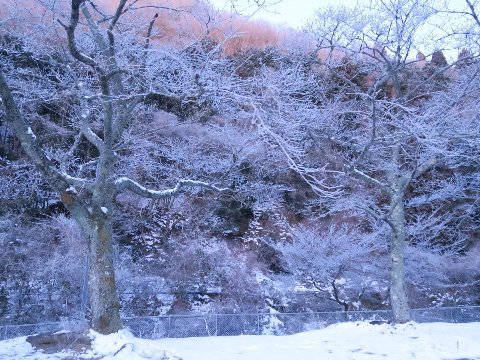 久しぶりの雪中キャンプ　～デイか宿泊かの選択～