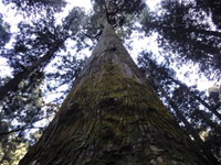 傘差し登山