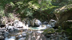天竜川水系でFF（2018-12） 2018/08/07 21:43:52