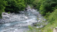 天竜川水系でFF（2018-16） 2018/08/17 18:41:22