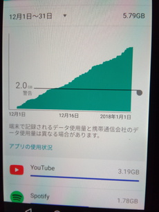 BIGLOBE音声SIMエンタメオプション1ヶ月データ使用量