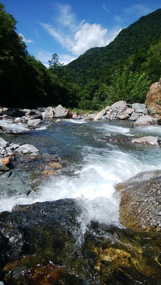 天竜川水系でFF（2018-19）