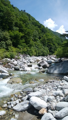木曽川水系でFF（2018-10） 2018/07/23 10:38:59