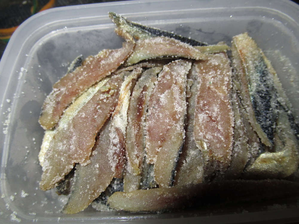 エサ準備forタチウオ