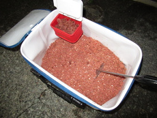 伊豆沖磯で降るのは雨と時々コマセ 2019/03/05 23:16:37